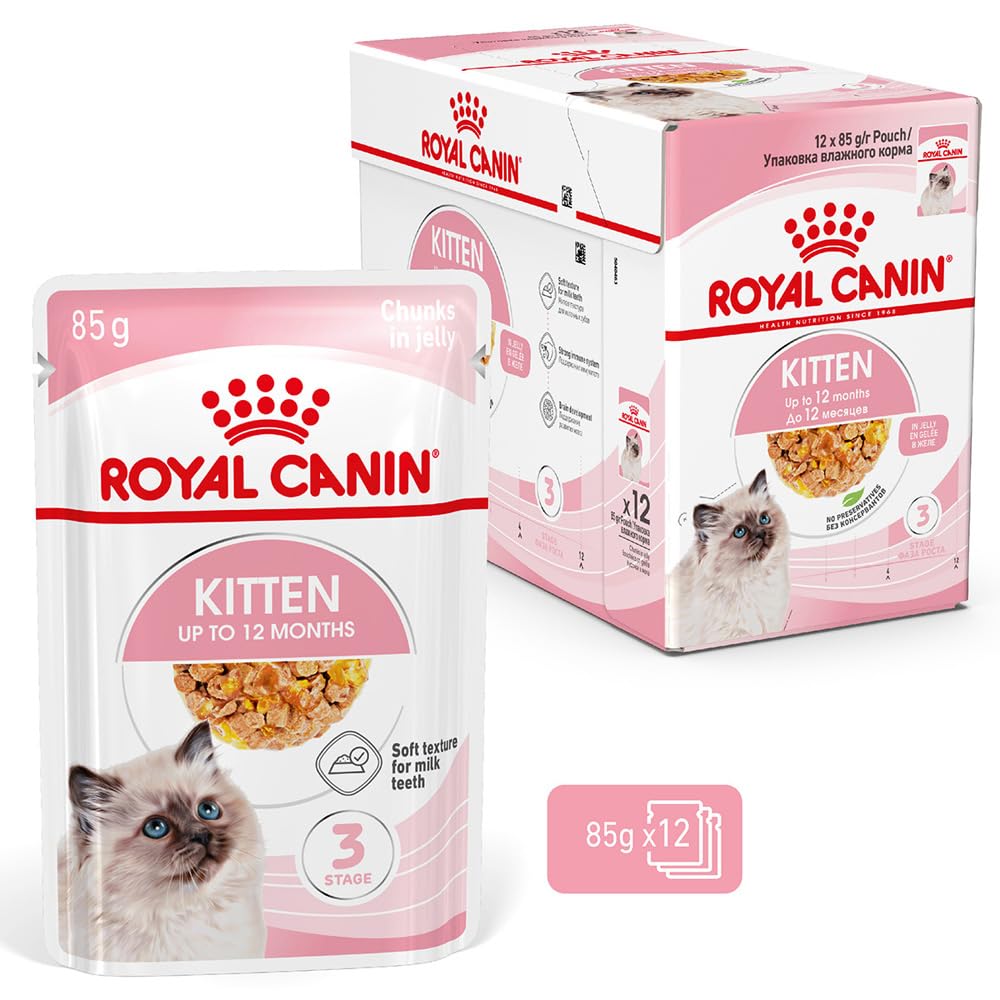 ロイヤルカナン キトン ゼリー 猫専用ウェットフード 子猫用